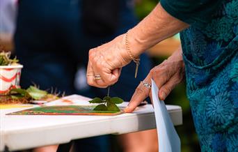 Photograph of a person crafting.