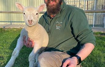 Puxton employee in green jumper holding a baby lamb
