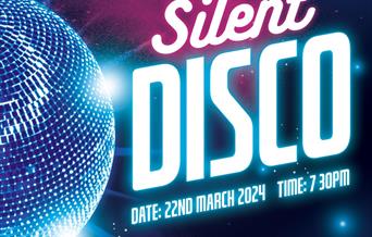 poster of a disco ball with details of the event