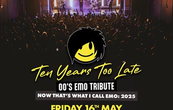 TEN YEARS TOO LATE - 00's Emo Tribute