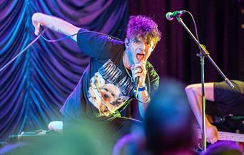 A punk singer leaning into his microphone on stage at the InCider Festival at Sand Bay near Weston-super-Mare