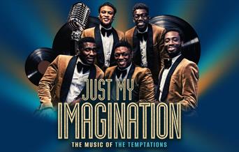 5 band members posing behind the Just My Imagination logo with stage lights shining in the background.
