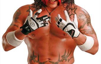International Professional Wrestling