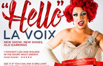 Hello La Voix