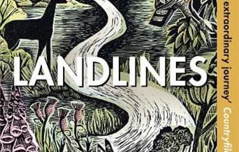 Book cover of Landlines by Raynor Winn