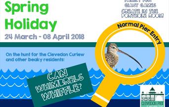 Spring Holiday - Can Whimbrels Whiffle?