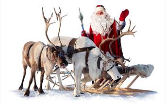 Christmas Wonderland