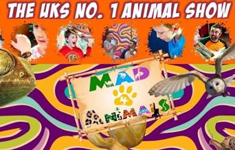 Mad 4 Animals Face your Fears