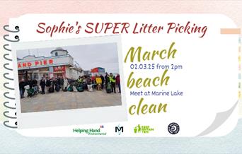 Beach Clean and Litter Picking Event - Sophie's SUPER Litter Picking group