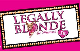 Legally Blonde Jr - the Musical Promo Image