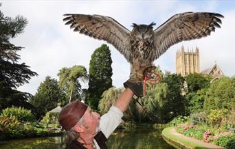 Medieval Falconry Day at The Bishop's Palace