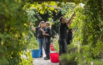 Meet the Gardener