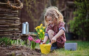 Terrific Tuesday- Mini Gardening