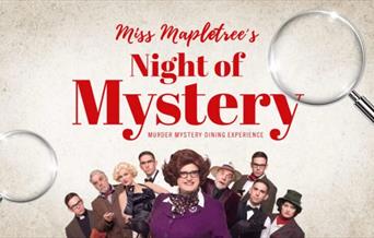 Miss Mapletree's Night Of Mystery