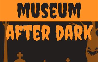 Museum After Dark