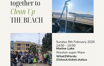 Beach Clean and Litter Picking Event - Sophie's SUPER Litter Picking group
