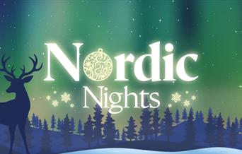 Nordic Nights Christmas Party