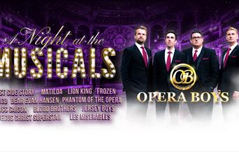 Opera Boys