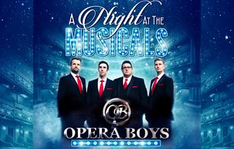 Opera Boys  A Night at The Musicals
