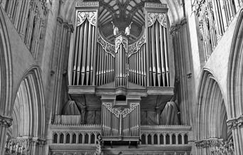 Wells Cathedral Event