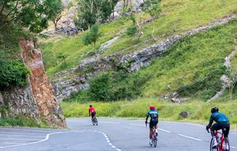 Three cyclists ride down a road in the centre of a gorge