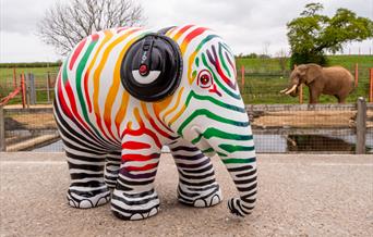 Elephant Parade®