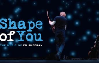 Shape of You: Ed Sheeran - image of the back of Ed Sheeran playing a guitar on a stage.