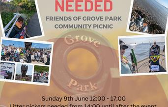 Litter Picking at Grove Park Community Picnic