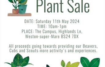 1st Weston Village Scout Group Plant Sale