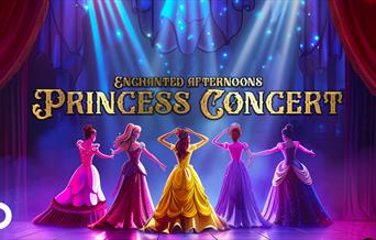 The Princess Concert