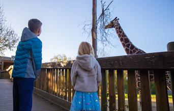 family looking at giraffe at wild place project