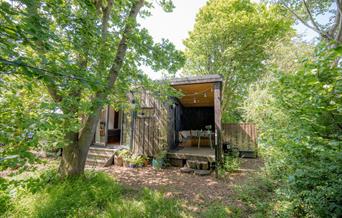 A log cabin set in a clearing in woodland