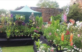 Rare Plant Fair