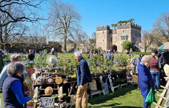 Rare Plant Fair 2024