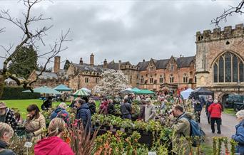 Rare Plant Fair 2025