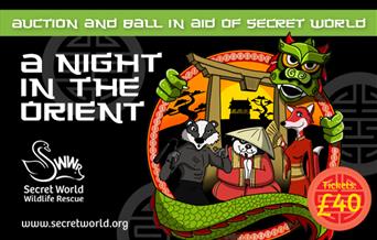 Charity Auction and Ball