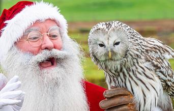 Santa visits an owl at Noah's Ark Zoo Farm