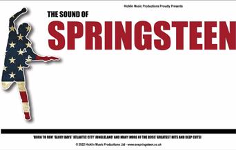 Image of Bruce Springsteen using the American flag (starts and stripes) with the words Springsteen in bright red.