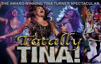 The title is in gold with diamonds in the name Tina. The back ground from centre to left is full of a woman dancing. The right is a range of people da