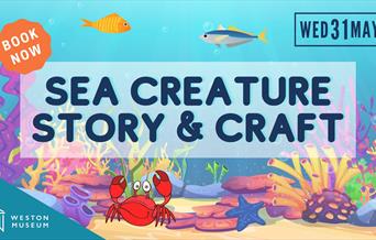 Event cover image for Sea Creatures Story and Craft