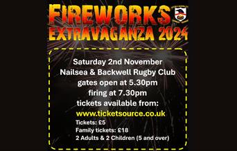 Fireworks Night Nailsea