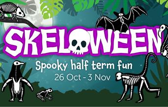 Skeloween at Bristol Zoo Gardens