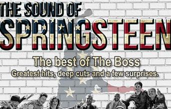 Bruce Springsteen tribute poster