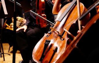 A large string instrument