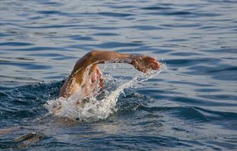 Cold water swimming