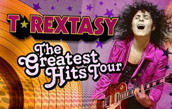 Marc Bolan lookalike poster