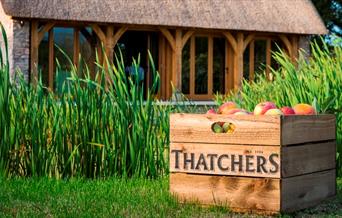 Thatchers Cider Tasting Evening