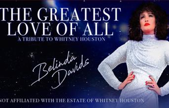 A Tribute to Whitney Houston starring Belinda Davids