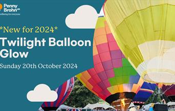 Penny Brohn UK Twilight Balloon Glow. Sunday 20th October. Image of colourful hot air balloons.
