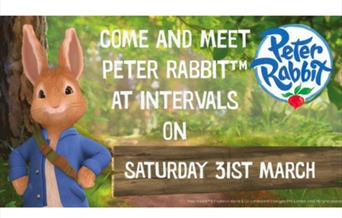 Peter Rabbit Meet and Greet